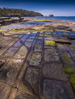 Tessalated pavement, Tasman Peninsula, southern Tasmania Tessalated pavement, Tasman Peninsula, southern Tasmania
