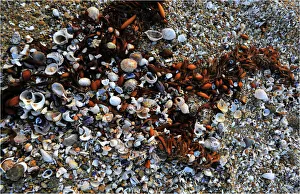 Tidal wash, Cape Patterson, Victoria, Australia Tidal wash, Cape Patterson, Victoria, Australia