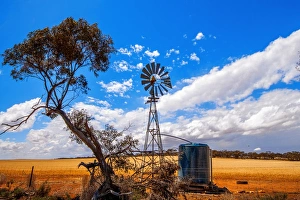 A Truly Australian Scene of a Eucalyptus (Gum) Tree, Scrubs and a Multi-Bladed Wind Powered Water Pump on a Farm Field A Truly Australian Scene of a Eucalyptus (Gum) Tree, Scrubs and a Multi-Bladed Wind Powered Water Pump on a Farm Field