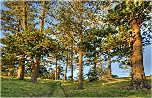 Southern lightscapes australia/view fine weather track leads point ross Southern lightscapes australia/view fine weather track leads point ross