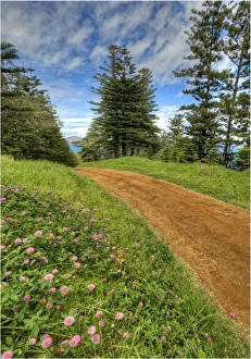 Southern lightscapes australia/view fine weather track leads point ross Southern lightscapes australia/view fine weather track leads point ross