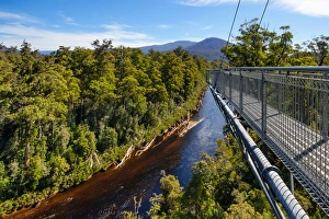 View of Huon River and the Cantilever Bridge on the Tahune Forest AirWalk, Huon Valley View of Huon River and the Cantilever Bridge on the Tahune Forest AirWalk, Huon Valley