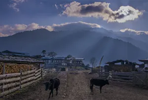 Wangdue Phodrang, Kingdom of Bhutan, Eastern Himalayas Wangdue Phodrang, Kingdom of Bhutan, Eastern Himalayas