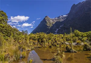 Wetlands in the Clinton Valley, Milford track, South Island, New Zealand Wetlands in the Clinton Valley, Milford track, South Island, New Zealand