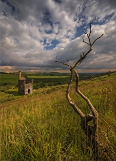 Wheal Betsy, Cornwall, England, United Kingdom Wheal Betsy, Cornwall, England, United Kingdom