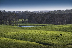 Southern lightscapes australia/winter morning gentle annie king island Southern lightscapes australia/winter morning gentle annie king island