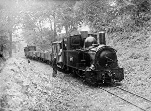 Freight train on the Welshpool & Llanfair Light Railway, by Selwyn Pearce-Higgins Freight train on the Welshpool & Llanfair Light Railway, by Selwyn Pearce-Higgins