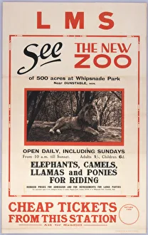 See the New Zoo, Whipsnade Park, Bedfords See the New Zoo, Whipsnade Park, Bedfords