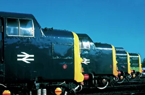 A row of Class 55 Deltic diesel locomotives built by English Electric in 1961-1962 A row of Class 55 Deltic diesel locomotives built by English Electric in 1961-1962
