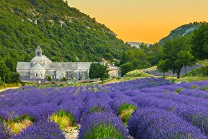 Abbaye de Senanque in Provence with lavander fields Abbaye de Senanque in Provence with lavander fields