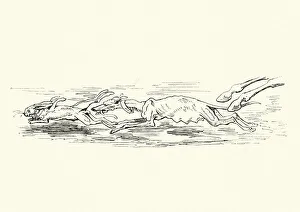 Adventures of Baron Munchausen Hound chasing the hare Adventures of Baron Munchausen Hound chasing the hare