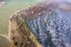 aerial view, color image, day, horizontal, lake darwindale, lakeshore, landscape aerial view, color image, day, horizontal, lake darwindale, lakeshore, landscape