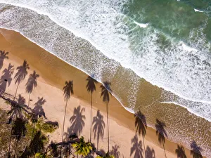 Aerial view of Palm Beach and the sea in Praia do Paiva - Praia de Itapuama - Pedra de Aerial view of Palm Beach and the sea in Praia do Paiva - Praia de Itapuama - Pedra de