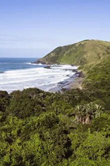 africa, bay, beauty in nature, coastal forest, coastline, color image, colour image africa, bay, beauty in nature, coastal forest, coastline, color image, colour image