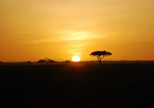 UNESCO World Heritage Site Pictures Prints: African sunset