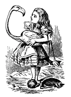 Alice Holding a Bird, Alices Adventures in Wonderland Alice Holding a Bird, Alices Adventures in Wonderland