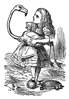 Alice holding a flamingo - Alice in Wonderland 1897 Alice holding a flamingo - Alice in Wonderland 1897