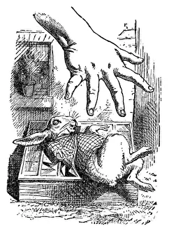 Alice trying to grab the white rabbit - Alice in Wonderland 1897 Alice trying to grab the white rabbit - Alice in Wonderland 1897
