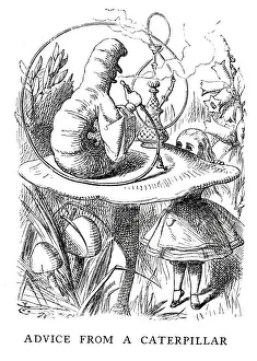 Alice in Wonderland - Advice from a Caterpillar Alice in Wonderland - Advice from a Caterpillar