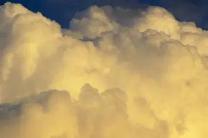 Cumulus Cloud Photography Prints: Altocumulus clouds in the evening sky
