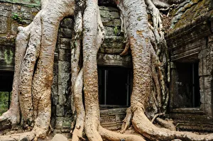 Ancient Civilisation, Colour Image, Siemreap Temple Complex, Stone - Material Ancient Civilisation, Colour Image, Siemreap Temple Complex, Stone - Material