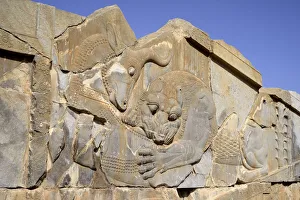 Apadana, Palace of Darius, Lion and bull combat Apadana, Palace of Darius, Lion and bull combat