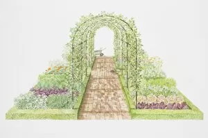Images Dated 22nd August 2006: Apple and pear trees on arched trellis, flanked by vegetable, herb and flower beds
