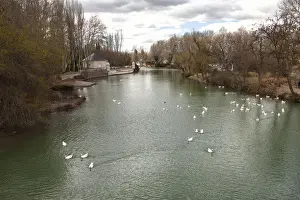 Tagus River Spain Prints: Aranjuez