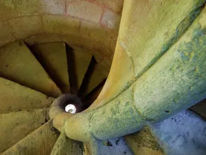 High Angle View Images Prints: Fibonacci