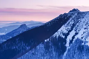 Snowy Mountain Ranges Europe Prints: area, backdrops, break, central, chains, coniferous, countryside, covered, eastern