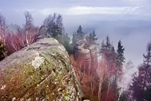 Broumovske Steny Rocks Print, Czech Republic