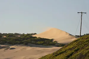 arid, beach, color image, colour image, copy space, day, desert, dunes, eastern cape arid, beach, color image, colour image, copy space, day, desert, dunes, eastern cape