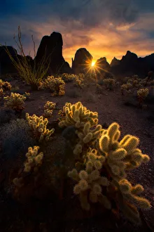 Global landscape views/piriya wongkongkathep pete landscape/arizona cactus Global landscape views/piriya wongkongkathep pete landscape/arizona cactus