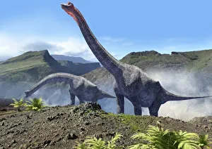 Artwork of a pair of brachiosaurus Artwork of a pair of brachiosaurus