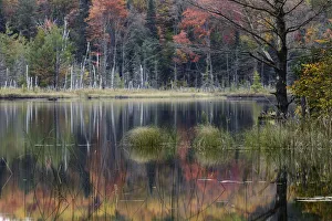 Autumn colors and mist reflecting on Council Lake at sunrise, Hiawatha National Forest Autumn colors and mist reflecting on Council Lake at sunrise, Hiawatha National Forest