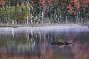 Autumn colors and mist reflecting on Council Lake at sunrise, Hiawatha National Forest, Michigan, USA Autumn colors and mist reflecting on Council Lake at sunrise, Hiawatha National Forest, Michigan, USA