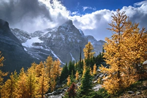 Autumn Colors In Rocky Mountains, Haddo Peak, Banff National Park, Alberta, Canada Autumn Colors In Rocky Mountains, Haddo Peak, Banff National Park, Alberta, Canada