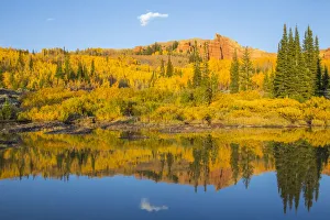 Autumn landscape with aspens and Red Cliffs on sunny day, Wyoming Range, Sublette County Autumn landscape with aspens and Red Cliffs on sunny day, Wyoming Range, Sublette County