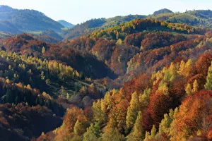 Autumn landscape of mountains and forests, Piatra Craiului National Park, Magura Autumn landscape of mountains and forests, Piatra Craiului National Park, Magura