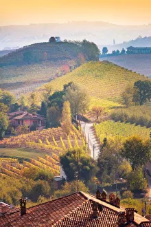 Autumn in Langhe Region, Piedmont, Italy. Vineyards at sunset Autumn in Langhe Region, Piedmont, Italy. Vineyards at sunset