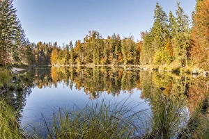 Autumn mood, Kleiner Oedsee lake, Gruenau im Almtal, Upper Austria, Austria Autumn mood, Kleiner Oedsee lake, Gruenau im Almtal, Upper Austria, Austria
