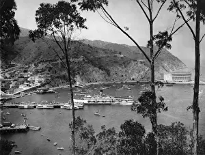Vintage Harbour Scene Prints: Avalon Bay