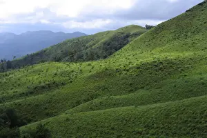 Western Ghats India Prints: Bababudangiri range