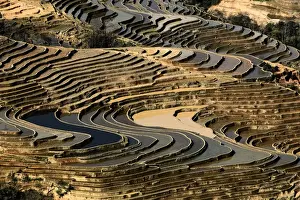 Yunnan Province Landscape Prints: Bada Terrace pattern