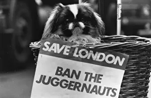 Black And White England Landscape Prints: Ban The Juggernauts