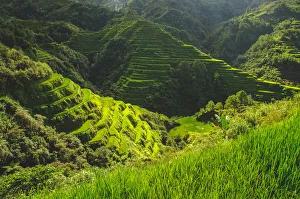 Banaue rice fields Banaue rice fields