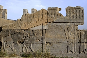 Bas-relief of lion devouring bull, Persepolis Bas-relief of lion devouring bull, Persepolis
