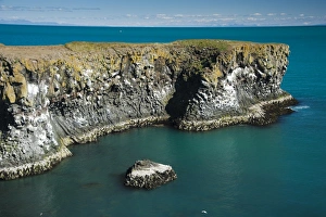 Basalt columns, cliffs on the coast near Arnarstapi, Breioavik Bay, Breidavik, Snaefellsnes peninsula, Snaefellsnes Basalt columns, cliffs on the coast near Arnarstapi, Breioavik Bay, Breidavik, Snaefellsnes peninsula, Snaefellsnes