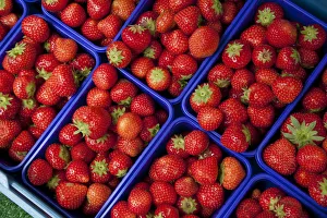 Baskets of strawberries at a market stall Baskets of strawberries at a market stall