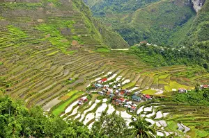 Batad Rice Terraces Print